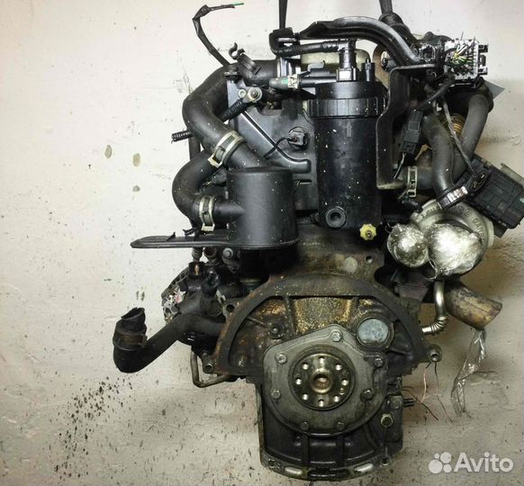 Двигатель Ford Focus Kkda 1.8 дизель 2009