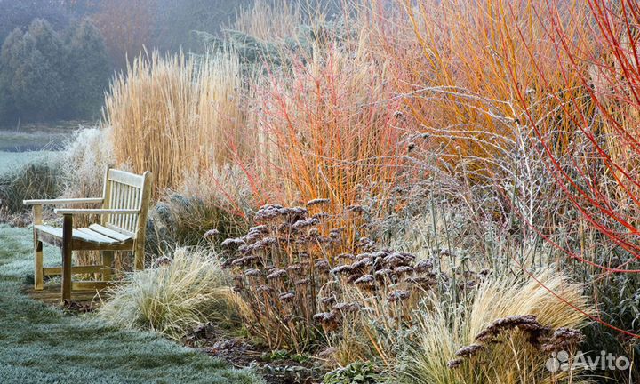 Уход за садом