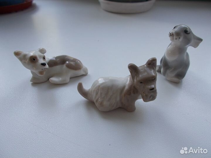 Собачки лфз