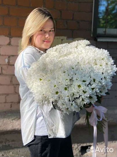 Хризантема ромашки букет ромашек