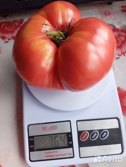 Семена натуральных (не F1) мясистых помидоров