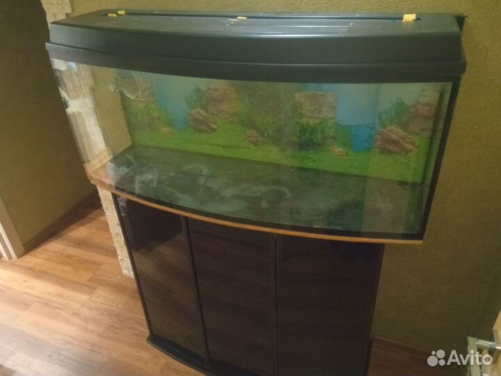 Аквариум 220 л.+ Внешний фильтр Tetra 1200