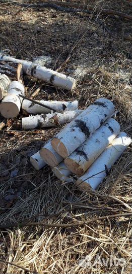 Бесплатно дрова берёзовые и кленовые