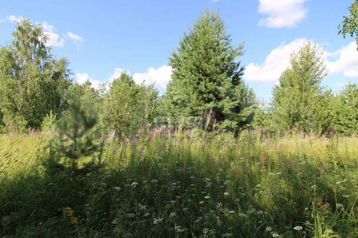 Участок 6,7 га (промназначения)