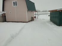 Газель земли
