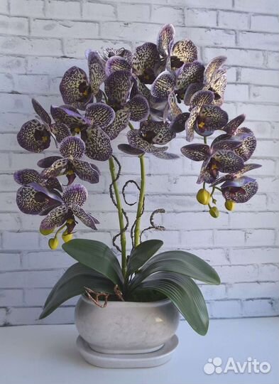 Имитация орхидеи