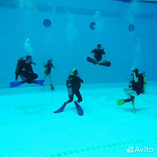 Обучение дайвингу. Курс NDL diver