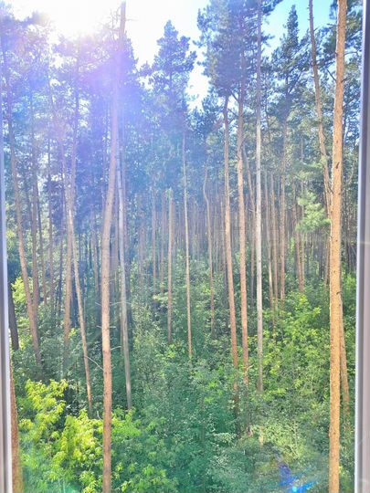 1-к. квартира, 35,2 м², 5/9 эт.