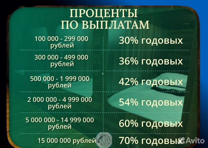 Бизнес инвестиции 30-70 годовых