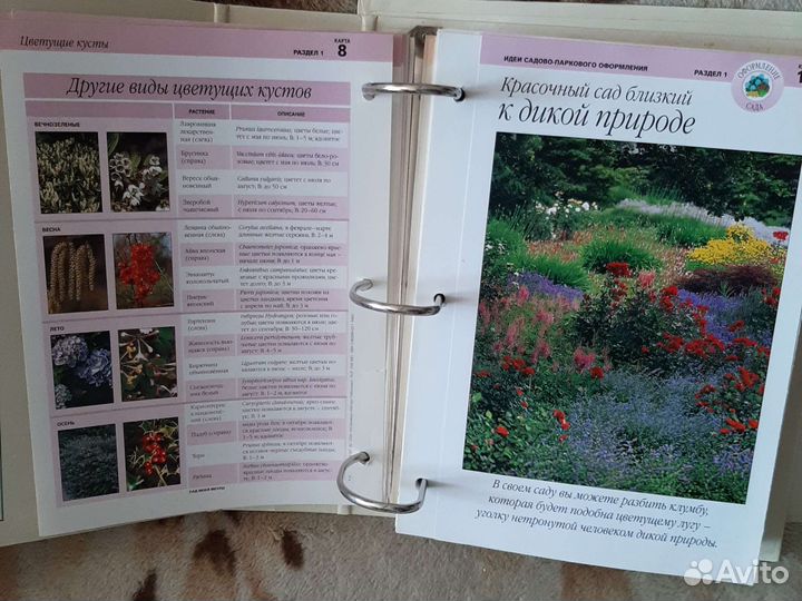 Энциклопедия сад моей мечты