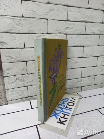 Крылов Г. В. Зеленая аптека Кузбасса