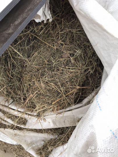 Луговое сено