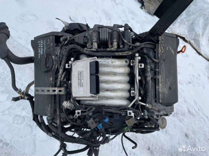 Двигатель Audi A6 C5 (S6,RS6) (1997 - 2005) 2.4 AM
