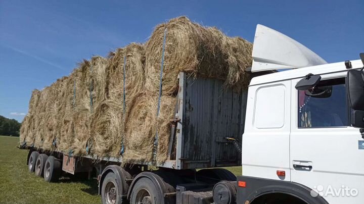 Сено в рулонах 2023