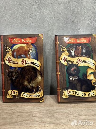 Коты воители книги 3 и 6 книга 1 цикл