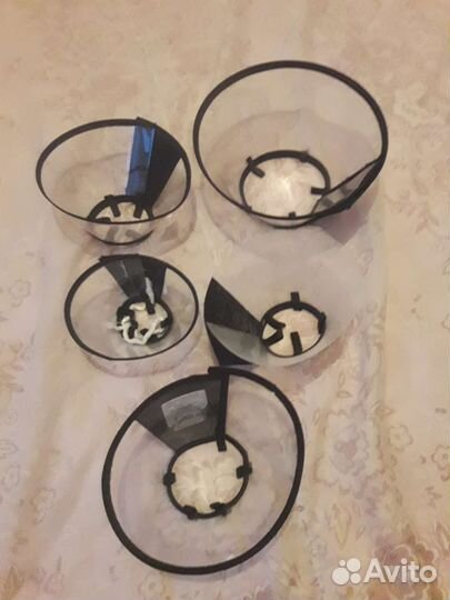 Комбинезон, ошейник, лежанка, рулетка