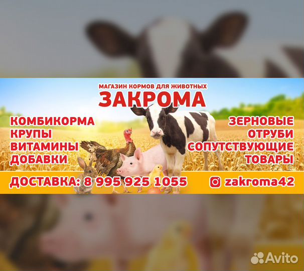 Комбикорм, зерно, отруби, доставка