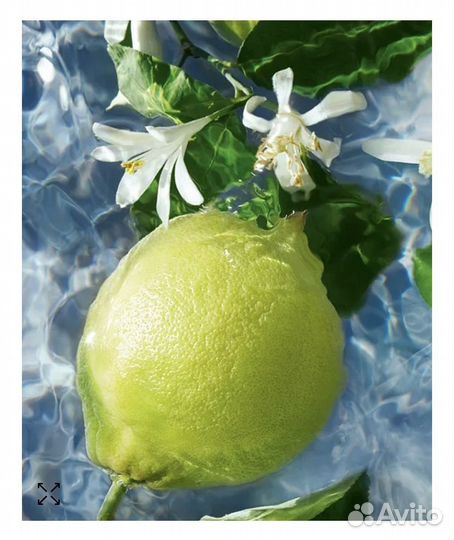 Аромат Guerlain aqua allegoria bergamote calabria