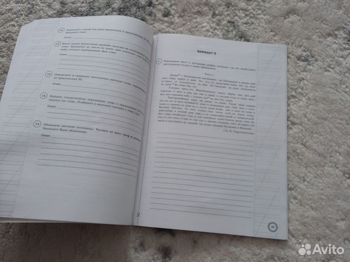 Впр Русский язык Типовые задания 7 класс