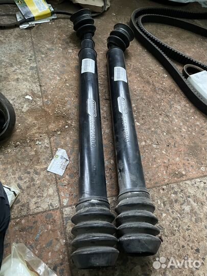 Семяпровод