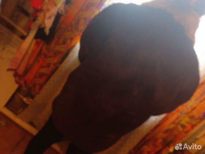 Дубленка натуральная мужская 50 52