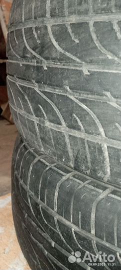 GT Radial Champiro 128 195/55 R15 V