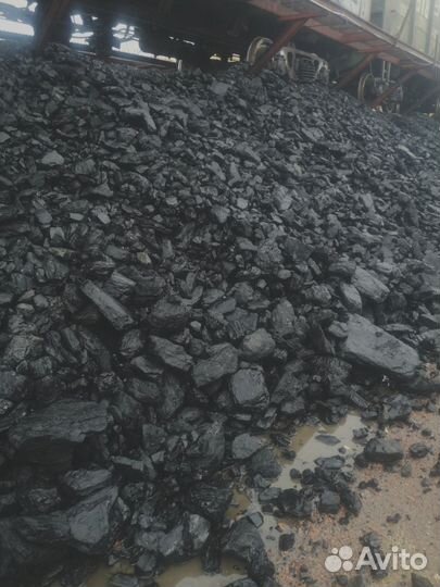 Дуб, лиственница, акация, клён — выбор дров для вашего очага