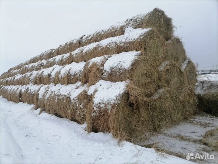 Сено, солома