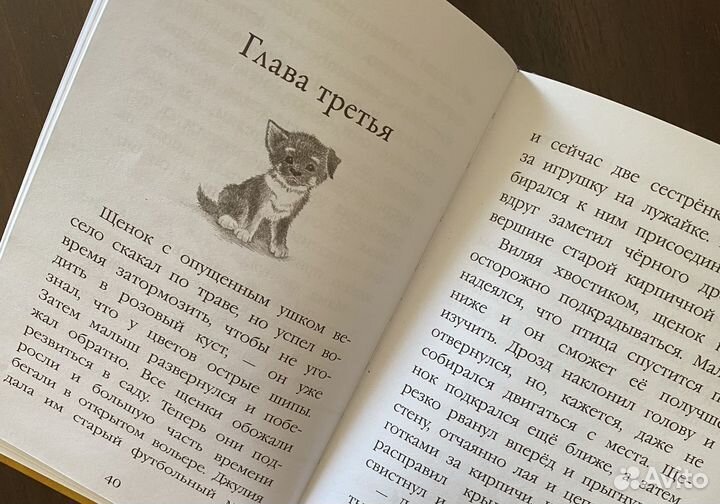 Детские книги холли вебб