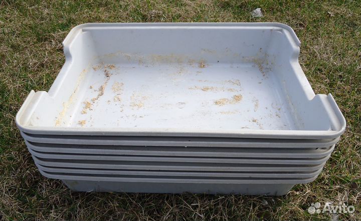 Поддон для рассады