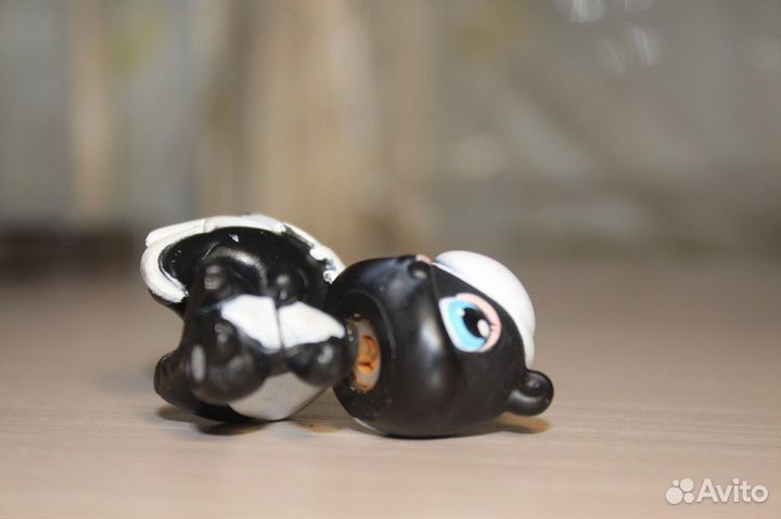 Littlest pet shop белка