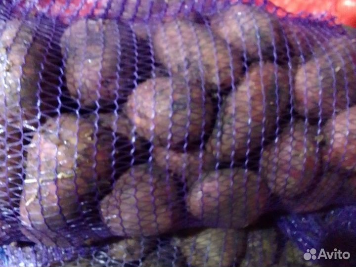 Картофель и другие овощи с доставкой