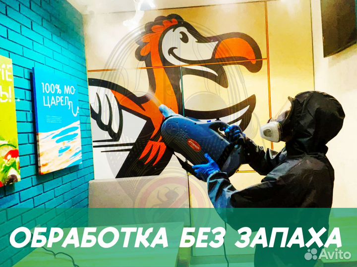 Дезинфекция