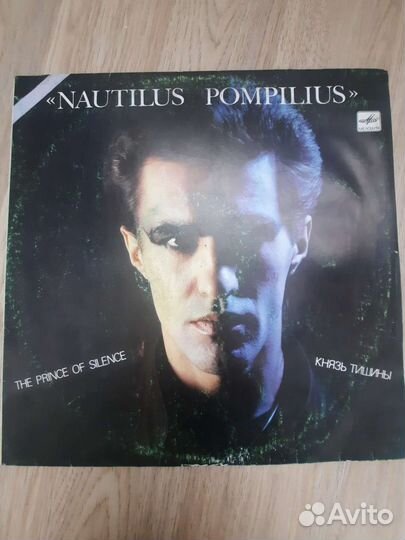 Виниловая пластинка