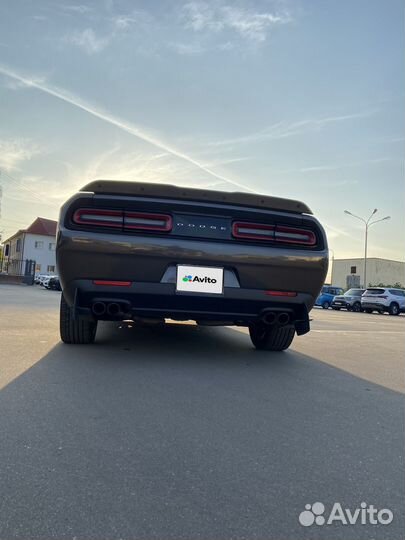 Dodge Challenger 3.6 AT, 2019, 108 650 км