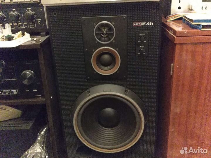 Акустика Sony SS g5a