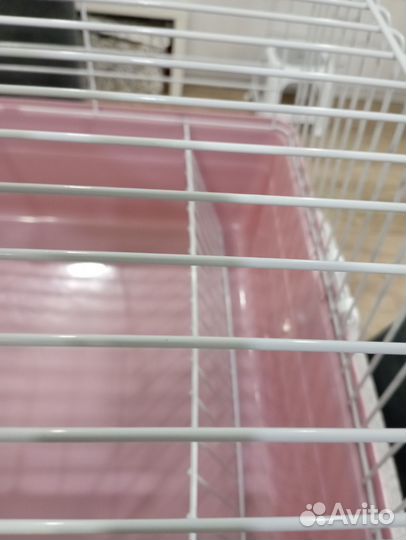 Клетка для кролика или морской свинки