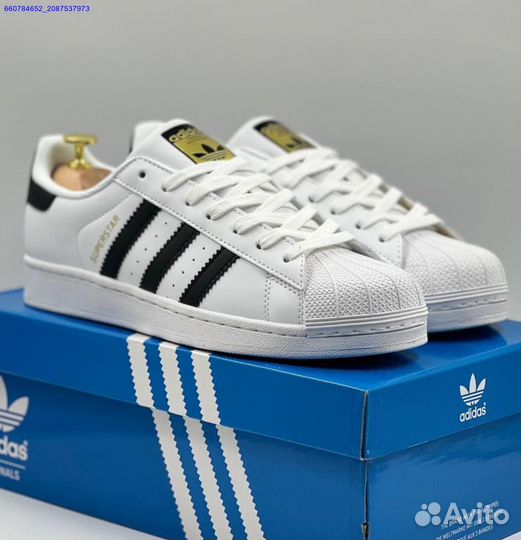 Кроссовки Adidas Superstar (Арт.56264)