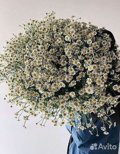 Ромашки букет