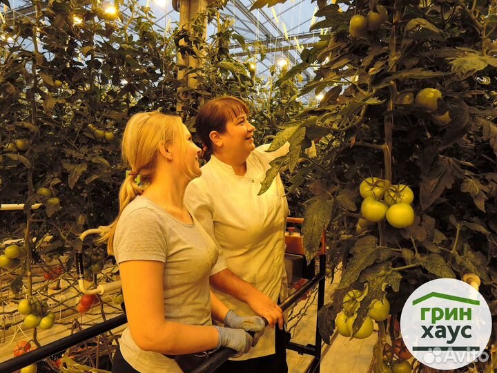 Рабочий в тепличный комплекс\Овощевод