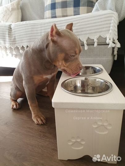 Подставка под миски для собак и кошек