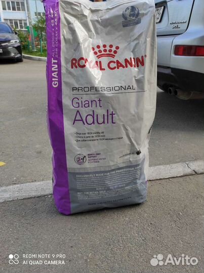 Корм Роял Канин