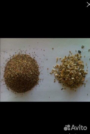 Кормовая ракушка