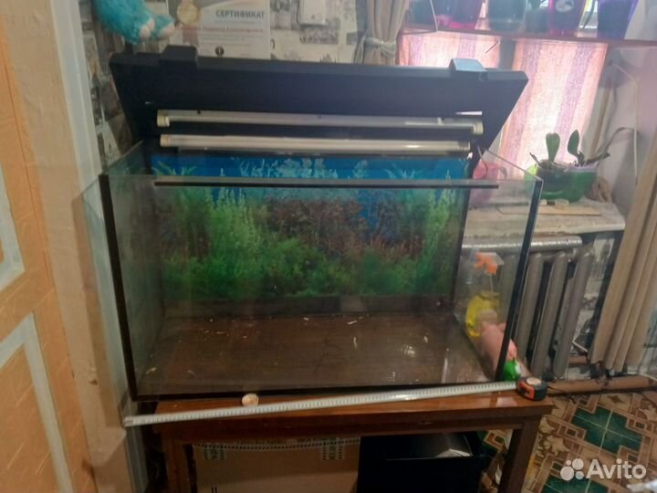 Аквариум