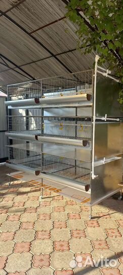 Клетки для бройлеров