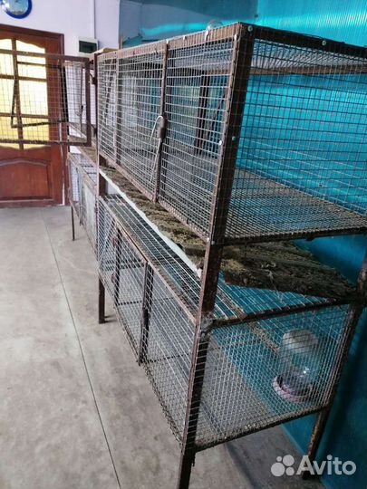 Клетки для кроликов и маточники