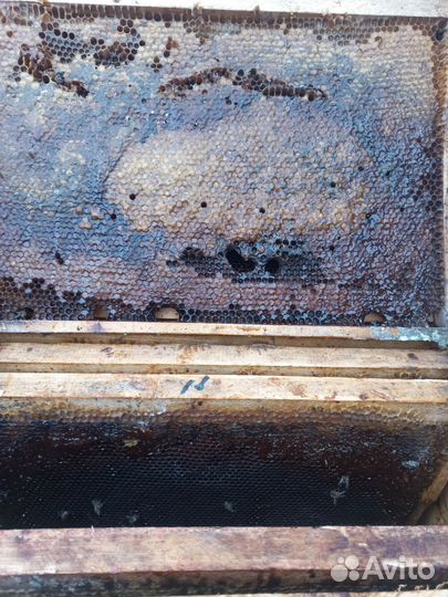 Рамки с сушью