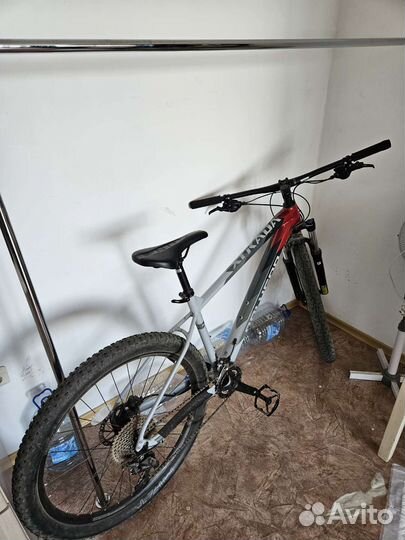 Polygon xtrada 5 2022