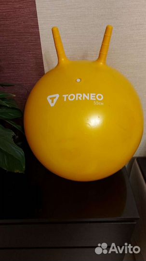 Мяч гимнаст.детский Torneo 55см