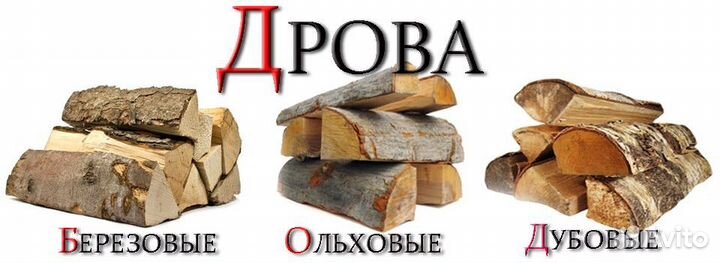 Дрова дубовые колотые